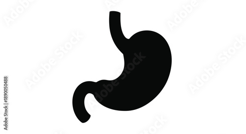 Black stomach illustration a simple anatomical representation silhouette