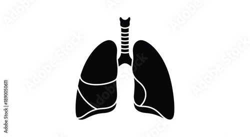 Anatomical illustration of human lungs a striking black silhouette