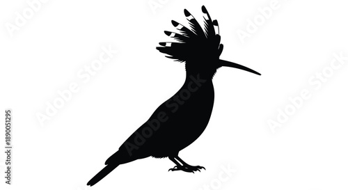 Hoopoe bird profile in a striking black silhouette
