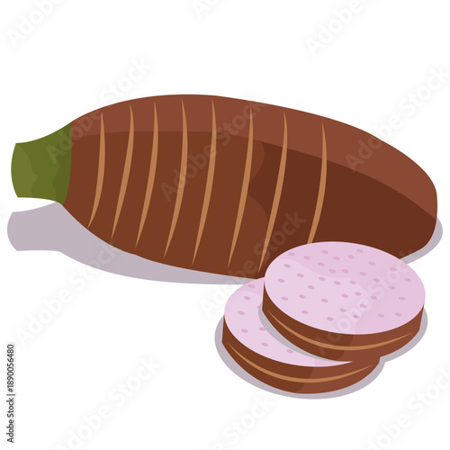 Taro root vegetable vector drawing.
