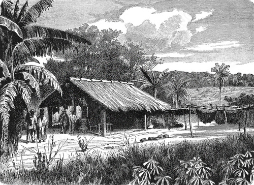 Canvastavla A traditional indigenous wooden house with thatched roof in Paraguayan landscape, showing Guarani architecture and subtropical settlement adaptation, old vintage illustration, 1899
