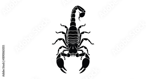 Detailed black scorpion illustration against a white background silhouette