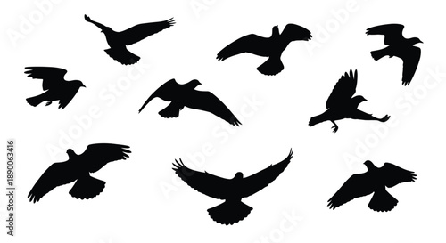 A flock of birds in flight depicted as a dark silhouette