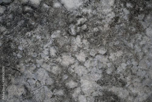 Close-up of an old, weathered wall surface with dark stains, mold, and mildew growth. Abstract grunge texture featuring water damage, dirt, and organic decay. Ideal for use in backgrounds