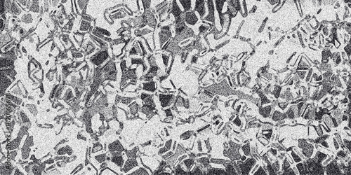 Intricate abstract monochrome pattern with a network of interconnected shapes and granular texture, ideal for science, technology, or complex background visuals