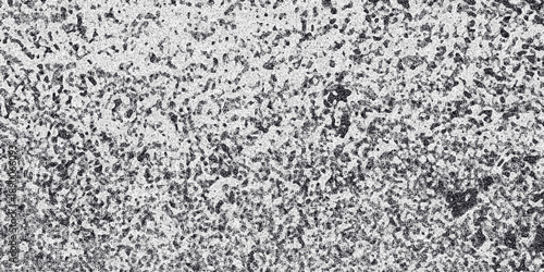 Dense monochrome abstract background with a highly textured, speckled surface resembling porous rock or a heavily corroded metal with irregular dark spots