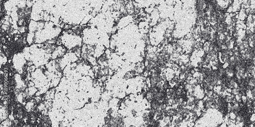 Detailed monochrome abstract texture with a cracked and fragmented pattern resembling dry earth or distressed paint with granular noise and irregular shapes