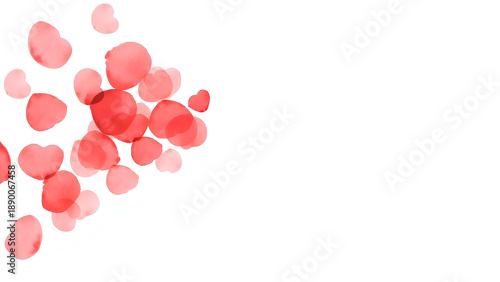 White background with vector red rose petals