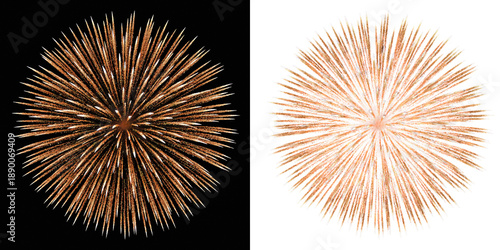 Tableau sur toile Festive fireworks blast overlay in golden hues, 4th July, New Year's Eve, Christmas, wedding, birthday party celebration holiday