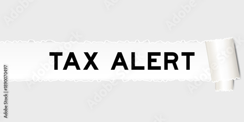 Ripped gray paper background that have word tax alert under torn part