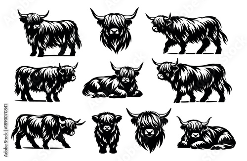 Stylized graphic highland cattle set featuring various poses and headshots for farm animal designs