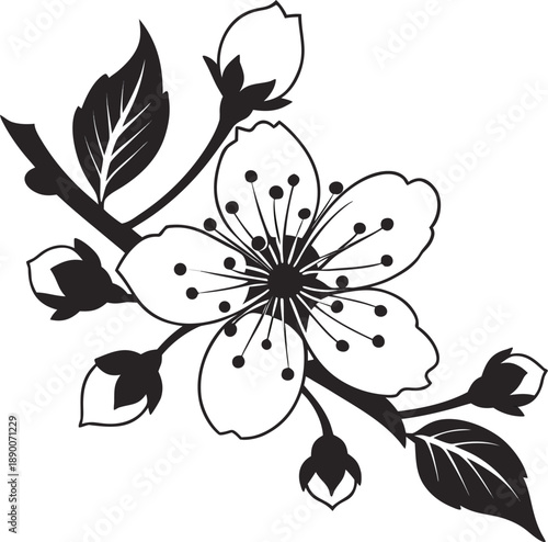 An elegant monochrome illustration of a delicate blossom and its buds