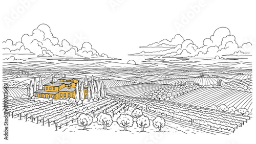 Scenic countryside landscape with hills and vineyard in linear style