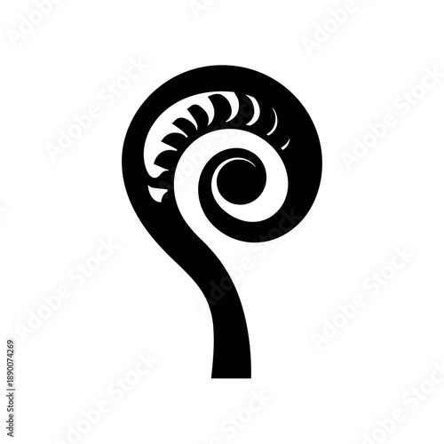 A black and white illustration depicting a tightly coiled fern frond on a white background