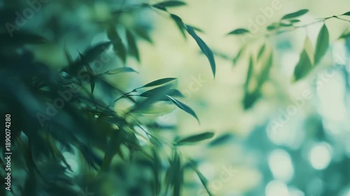 Wallpaper Mural Fresh green leaves and delicate branches showing a vibrant natural environment and providing a serene background texture with blurry bokeh light effects Torontodigital.ca