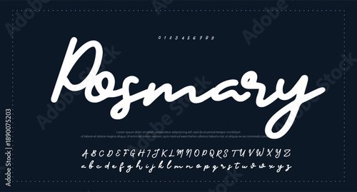 Elegant Script Font Alphabet Typography 