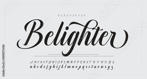 
Best Alphabet Signatures Handdraw Brush Script Logotype Font lettering handwritten 