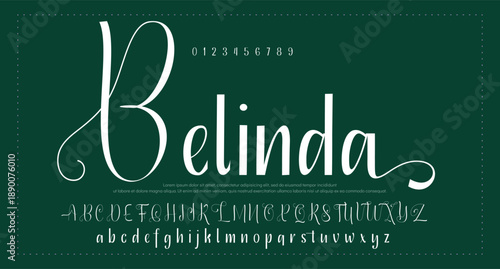 Signature Elegant Branding Typeface. Handwritten Script Editable Text Effect Template . vector illustration