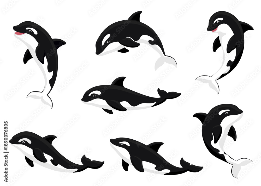 Obraz premium Cute cartoon orca collection. Flat vector illustration set of killer whales jumping, swimming, smiling in various poses. Happy playful orcas isolated on white. Marine wildlife artwork.