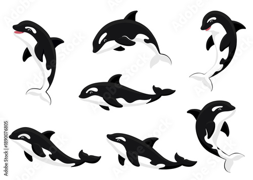 Cute cartoon orca collection. Flat vector illustration set of killer whales jumping, swimming, smiling in various poses. Happy playful orcas isolated on white. Marine wildlife artwork.