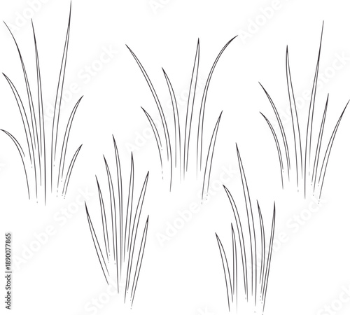 Five clusters of thin dark grey grass blades drawn with simple lines