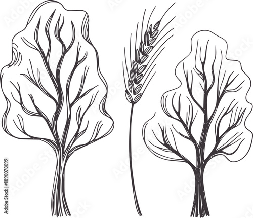 Minimalist pen ink of two trees and a wheat stalk plant nature