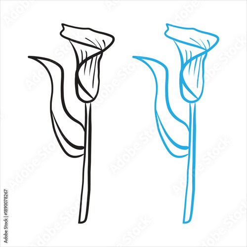 Stylized calla lilies outline art black and blue Vector