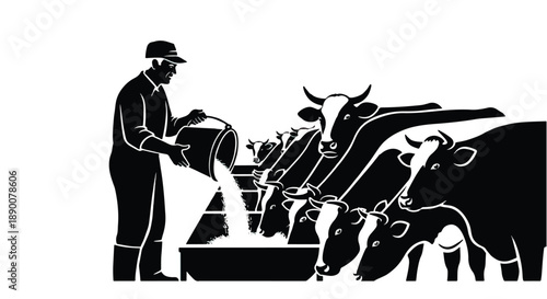 Farmer feeding cows in barn with hay