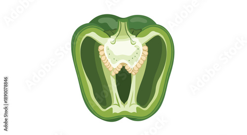 A detailed cross-section of a fresh green bell pepper, highlighting its organic shape, inner chambers, and numerous seeds, showcasing a wholesome ingredient for health...