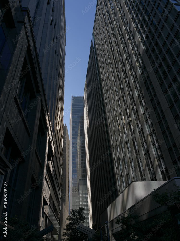 Obraz premium 都会の街並みを彩る建築物の直線的なフォルムと光が作る陰影