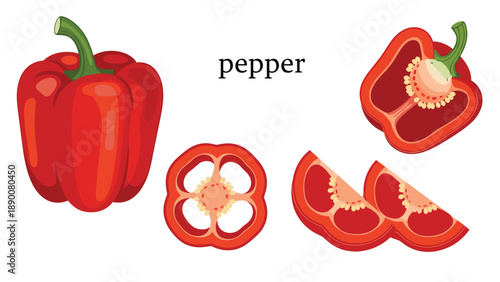 Fresh red bell pepper collection featuring a whole vegetable alongside a half piece and several round slices on a white background.