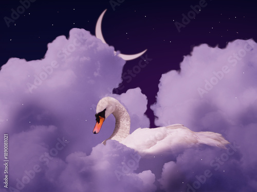 Swan in dark night sky with clouds