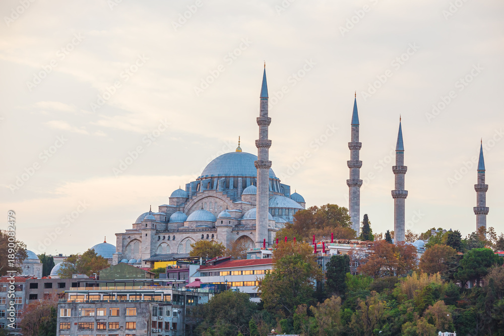 Fototapeta premium The Suleymaniye Mosque on a cloudy morning.