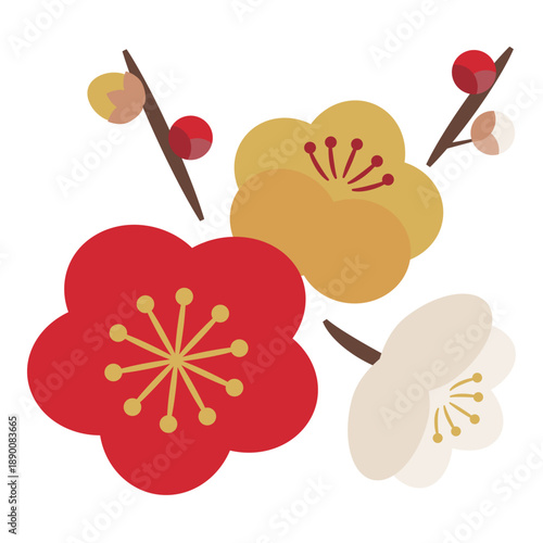 3色の梅の花