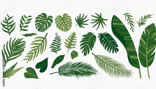 vector set of green leaves