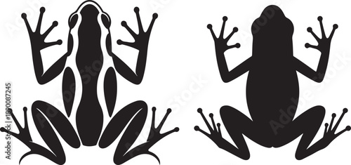 Stylized black frog silhouette with bold lines on a white background