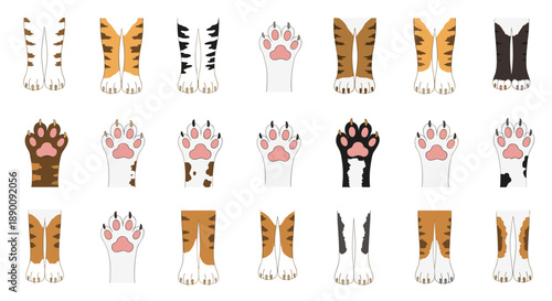 Collection of various cat paws and leg segments, displaying different fur colors and patterns, from tabby stripes to solid black, highlighting feline diversity.