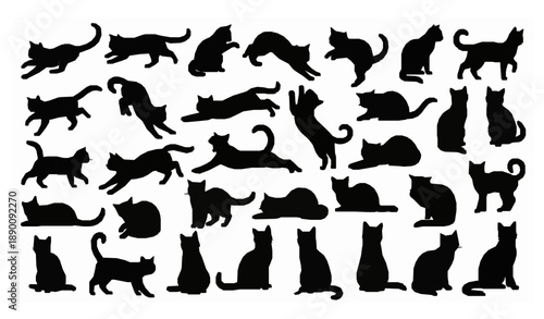 Dynamic cat silhouette vector icons 40 feline poses set