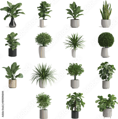 Indoor houseplants collection illustration, modern potted green plants set, home decor botanical design, minimalist interior greenery, realistic style isolated on white background
