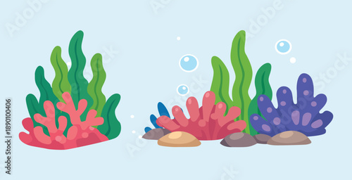 Beautiful green seaweed and colorful coral growing on the rocks.