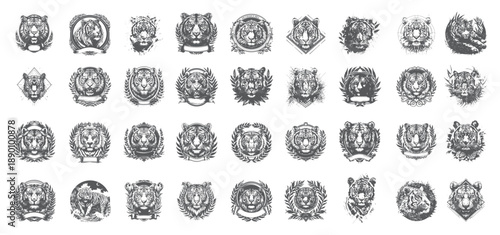 Realistic Tiger Face Sketches, High Contrast Predator Art