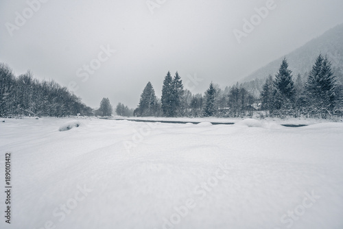 Obraz na płótnie Bleak winter landscape with gray skies, snow-covered trees, partially frozen river, and eerie silence; cold, raw, moody, and desolate atmosphere