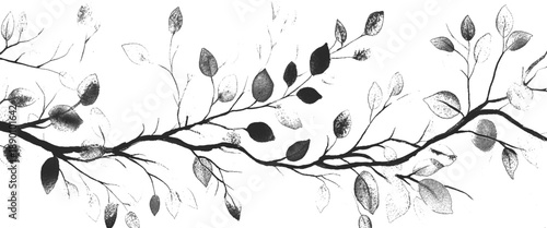 Vector black and white tree leaves 