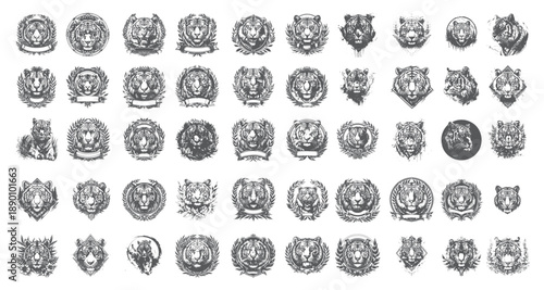 Realistic Tiger Face Sketches, High Contrast Predator Art