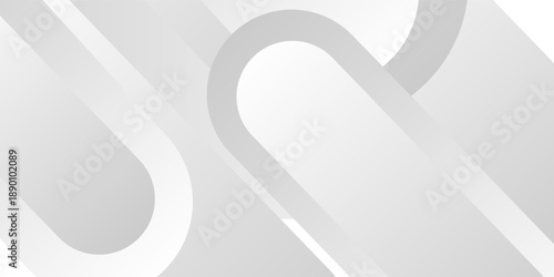 Abstract minimalist white and gray curve modern background. texture white pattern. vector illustration