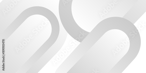 Abstract minimalist white and gray curve modern background. texture white pattern. vector illustration