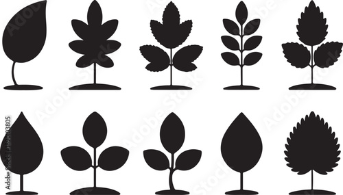 Collection of diverse leaf silhouettes on white background