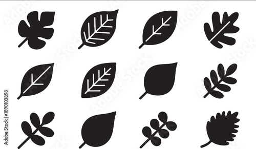 Collection of various leaf silhouettes on white background
