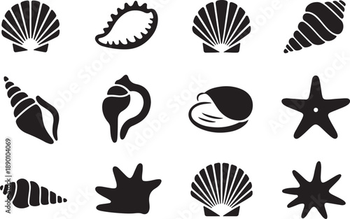 Collection of various seashells and starfish silhouettes
