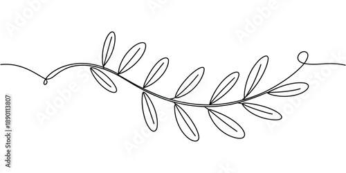 continuous line drawing of a delicate olive branch, minimalist botanical illustration, single line art for nature design